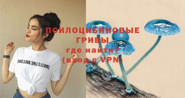 альфа пвп Новокубанск