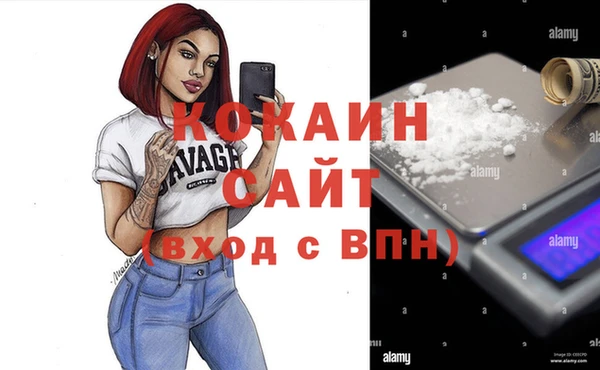 a pvp Новозыбков