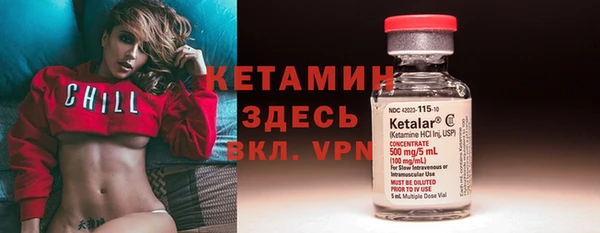 a pvp Новозыбков