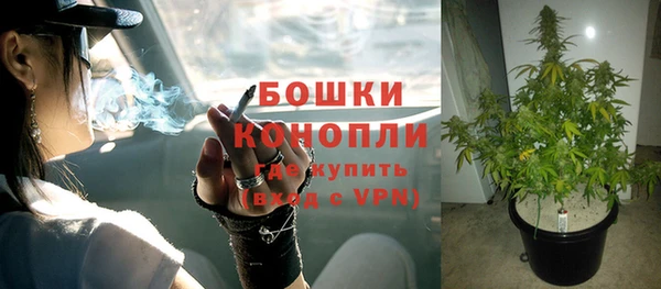 эйфоретик Нефтекумск